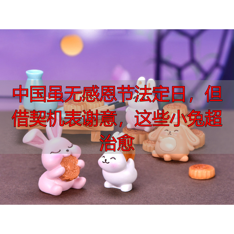 中国虽无感恩节法定日，但借契机表谢意，这些小兔超治愈