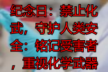 化学战受害者纪念日：禁止化武，守护人类安全：铭记受害者，重视化学武‮公器‬约