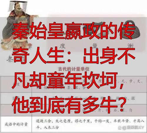 秦始皇嬴政的传奇人生：出身不凡却童年坎坷，他到底有多牛？