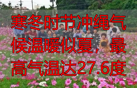 寒冬时节冲绳气候温暖似夏，最高气温达27.6度