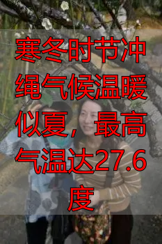 寒冬时节冲绳气候温暖似夏，最高气温达27.6度