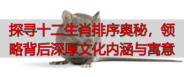 探寻十二生肖排序奥秘，领略背后深厚文化内涵与寓意