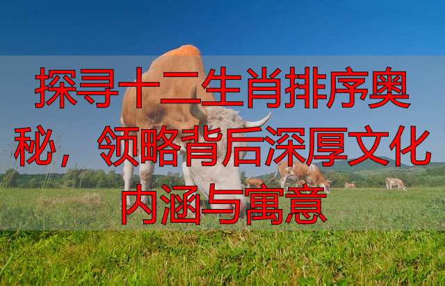 探寻十二生肖排序奥秘，领略背后深厚文化内涵与寓意
