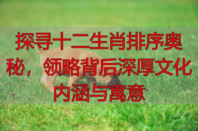 探寻十二生肖排序奥秘，领略背后深厚文化内涵与寓意