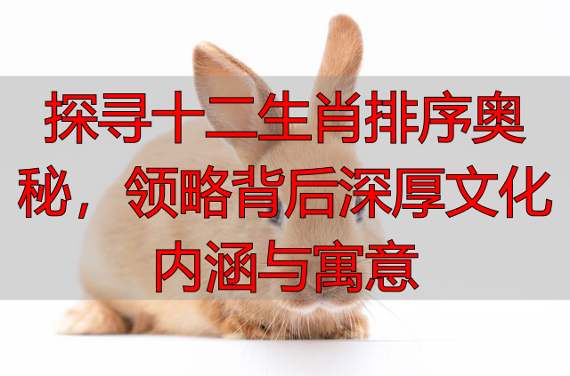 探寻十二生肖排序奥秘，领略背后深厚文化内涵与寓意