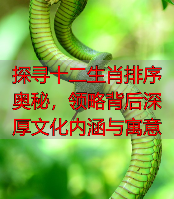 探寻十二生肖排序奥秘，领略背后深厚文化内涵与寓意