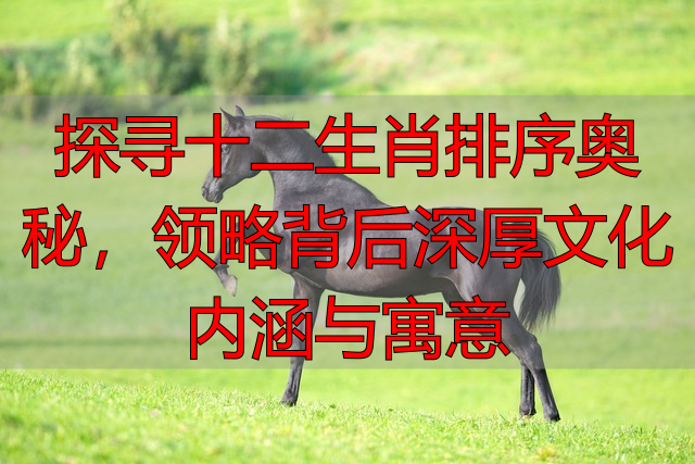 探寻十二生肖排序奥秘，领略背后深厚文化内涵与寓意