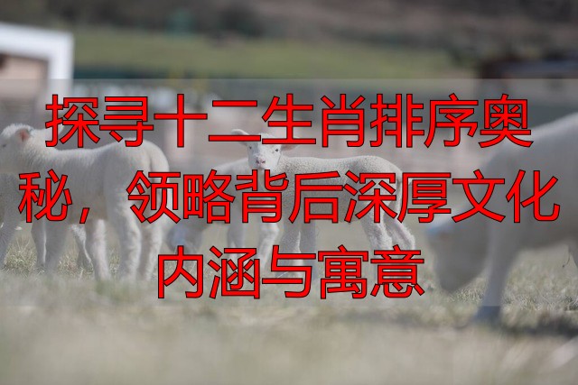 探寻十二生肖排序奥秘，领略背后深厚文化内涵与寓意