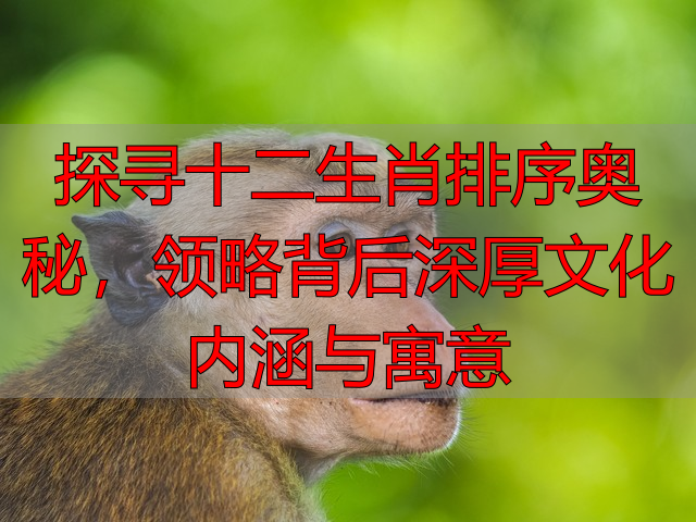 探寻十二生肖排序奥秘，领略背后深厚文化内涵与寓意