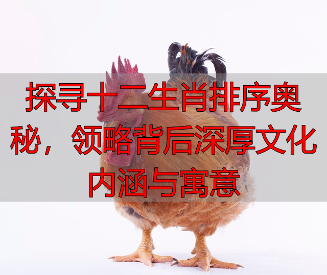 探寻十二生肖排序奥秘，领略背后深厚文化内涵与寓意