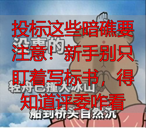 投标这些暗礁要注意！新手别只盯着写标书，得知道评委咋看