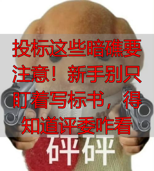 投标这些暗礁要注意！新手别只盯着写标书，得知道评委咋看