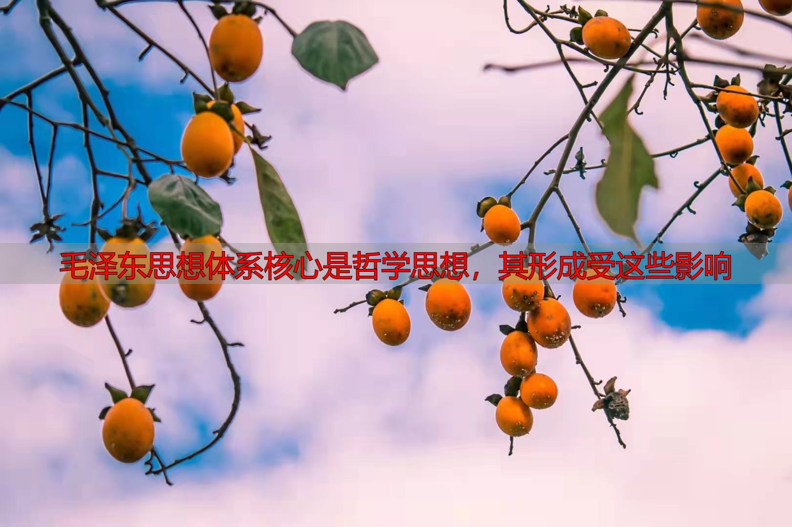 毛泽东思想体系核心是哲学思想，其形成受这些影响