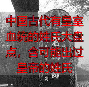中国古代有皇室血统的姓氏大盘点，含可能出过皇帝的姓氏