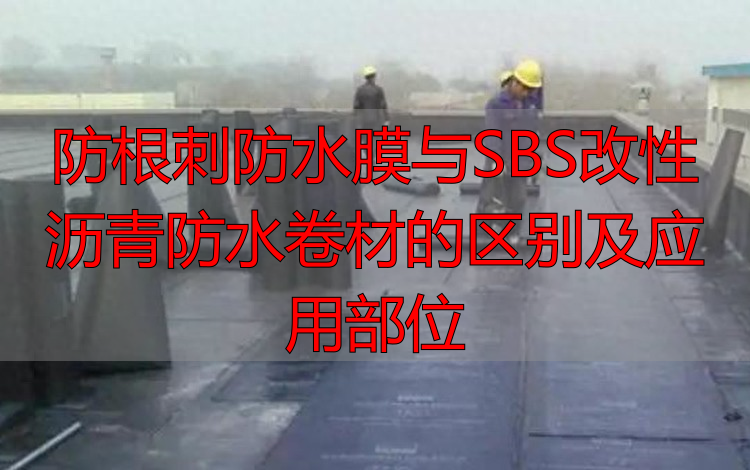 防根刺防水膜与SBS改性沥青防水卷材的区别及应用部位
