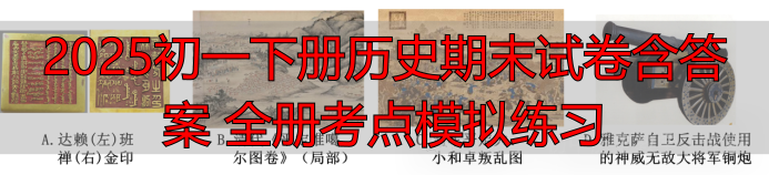 2025初一下册历史期末试卷含答案 全册考点模拟练习