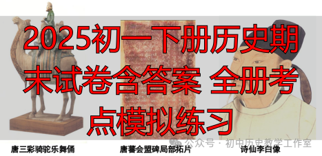 2025初一下册历史期末试卷含答案 全册考点模拟练习