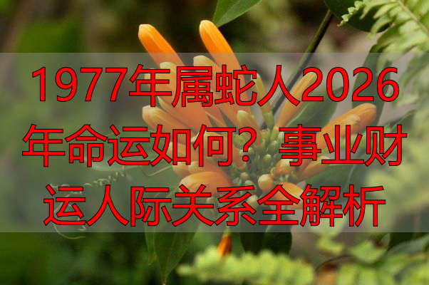 1977年属蛇人2026年命运如何？事业财运人际关系全解析