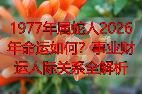 1977年属蛇人2026年命运如何？事业财运人际关系全解析