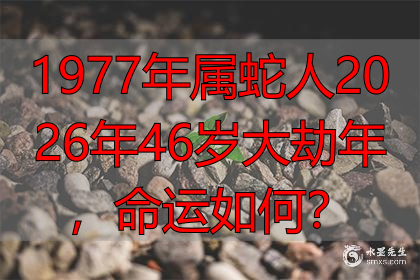 1977年属蛇人2026年46岁大劫年，命运如何？