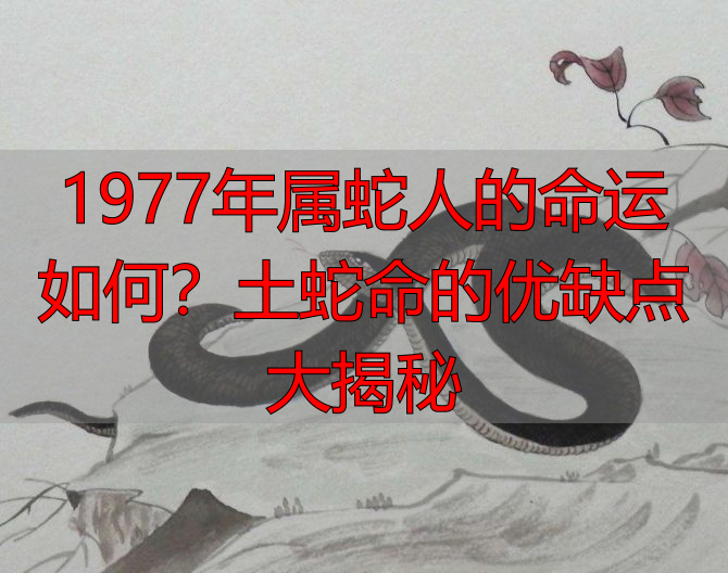 1977年属蛇人的命运如何？土蛇命的优缺点大揭秘