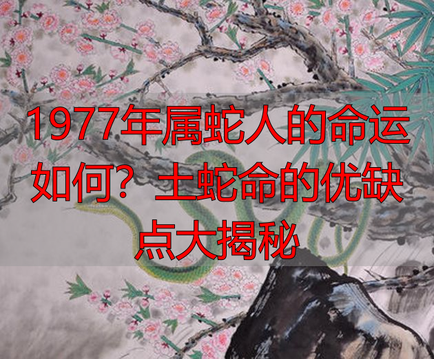 1977年属蛇人的命运如何？土蛇命的优缺点大揭秘