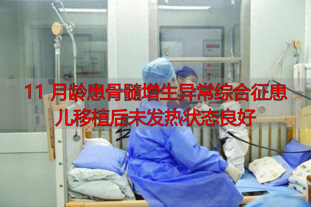 11 月龄患骨髓增生异常综合征患儿移植后未发热状态良好