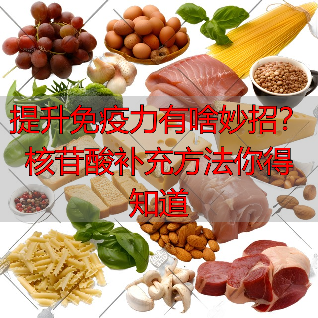 提升免疫力有啥妙招？核苷酸补充方法你得知道