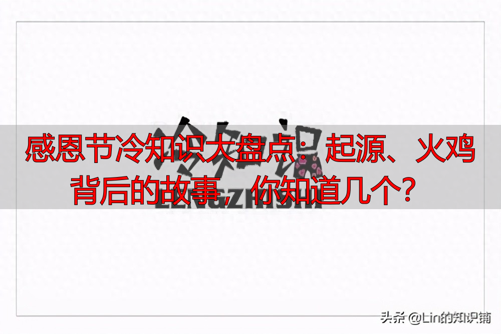 感恩节冷知识大盘点：起源、火鸡背后的故事，你知道几个？