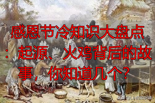感恩节冷知识大盘点：起源、火鸡背后的故事，你知道几个？