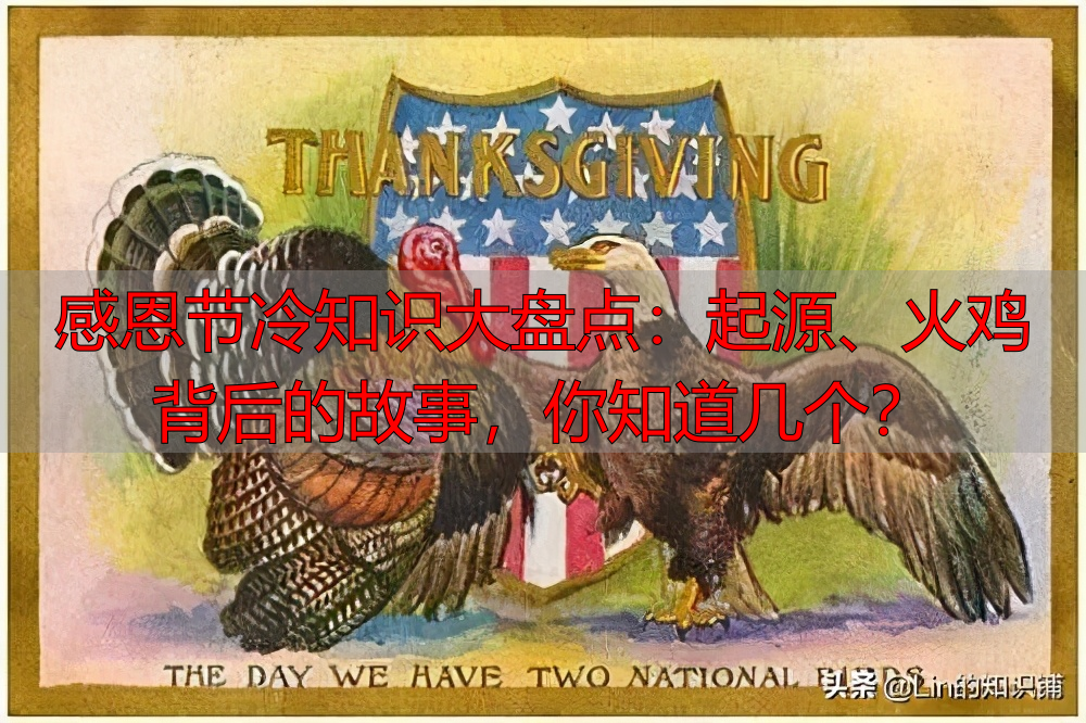 感恩节冷知识大盘点：起源、火鸡背后的故事，你知道几个？