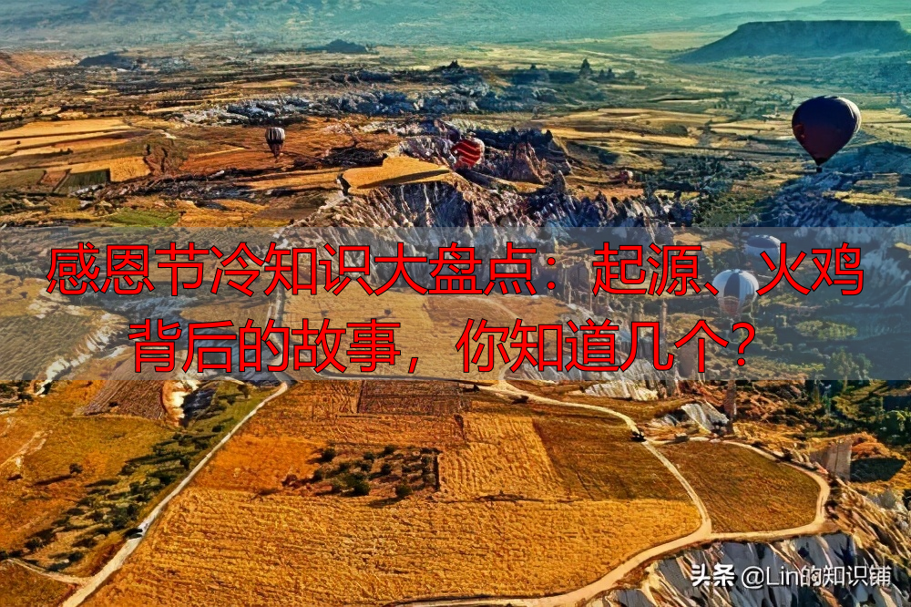感恩节冷知识大盘点：起源、火鸡背后的故事，你知道几个？