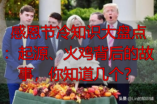 感恩节冷知识大盘点：起源、火鸡背后的故事，你知道几个？