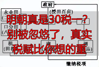 明朝真是30税一？别被忽悠了，真实税赋比你想的重