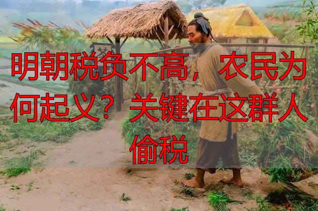 明朝税负不高，农民为何起义？关键在这群人偷税