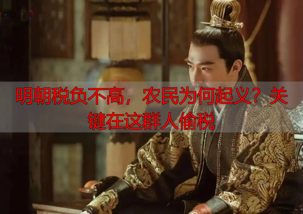 明朝税负不高，农民为何起义？关键在这群人偷税