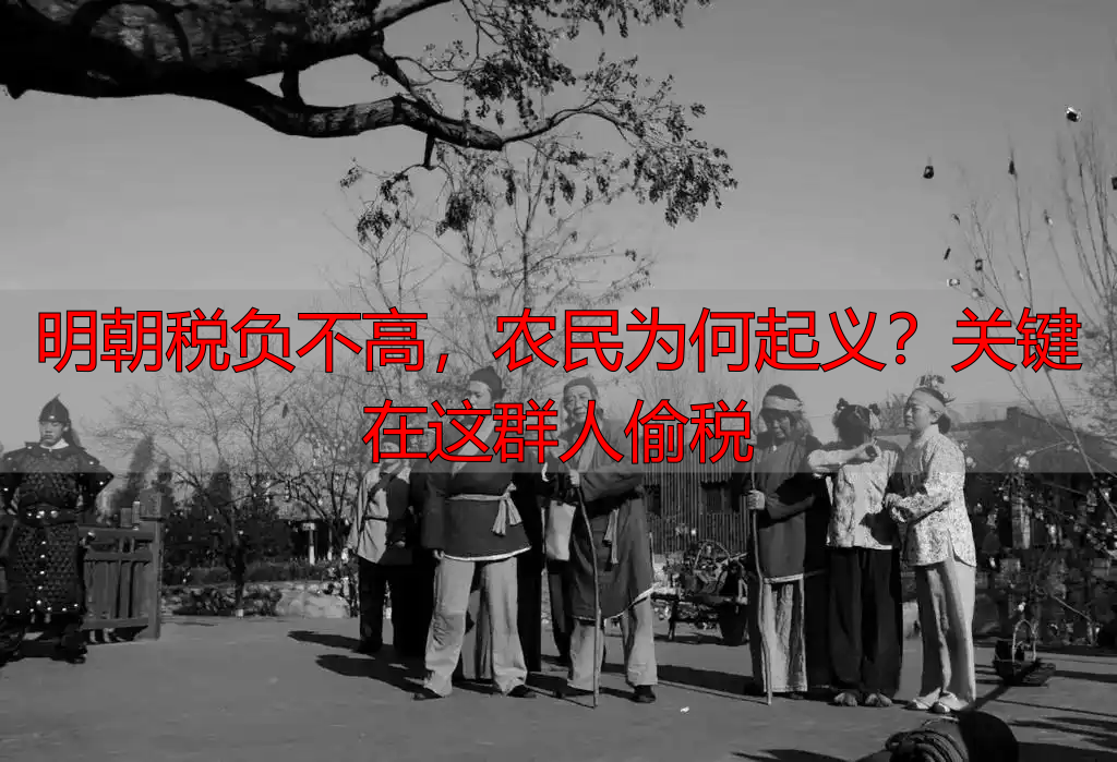 明朝税负不高，农民为何起义？关键在这群人偷税