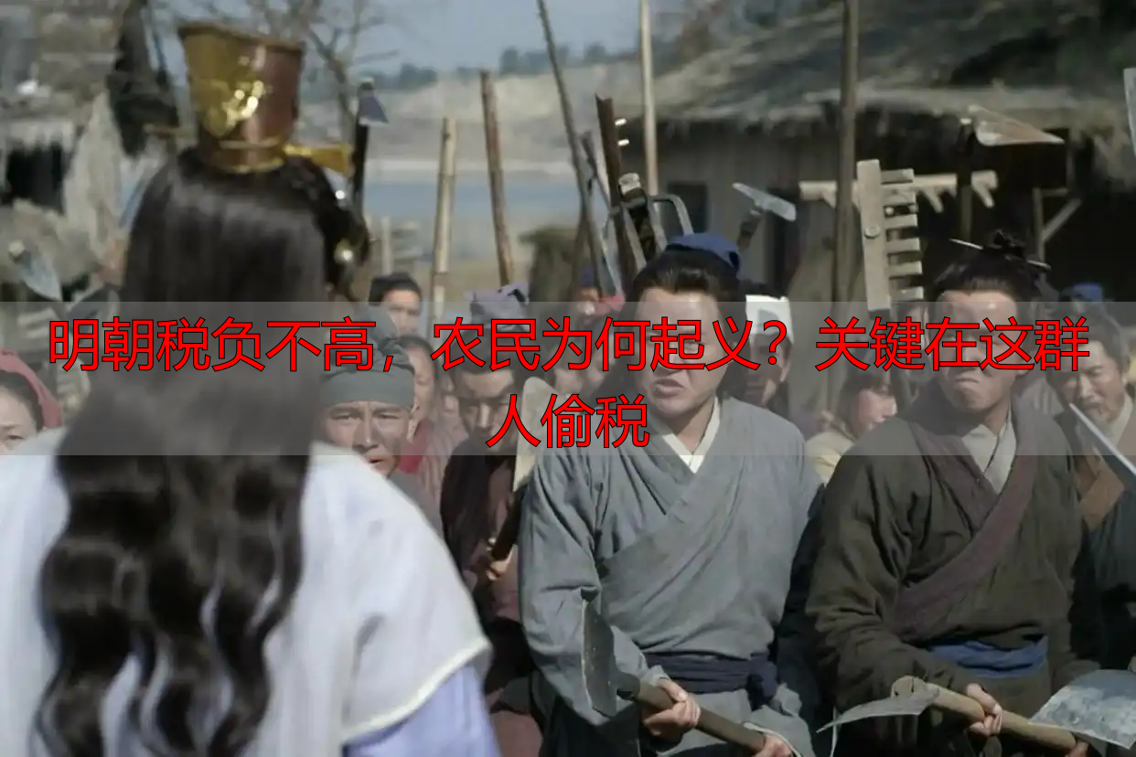明朝税负不高，农民为何起义？关键在这群人偷税