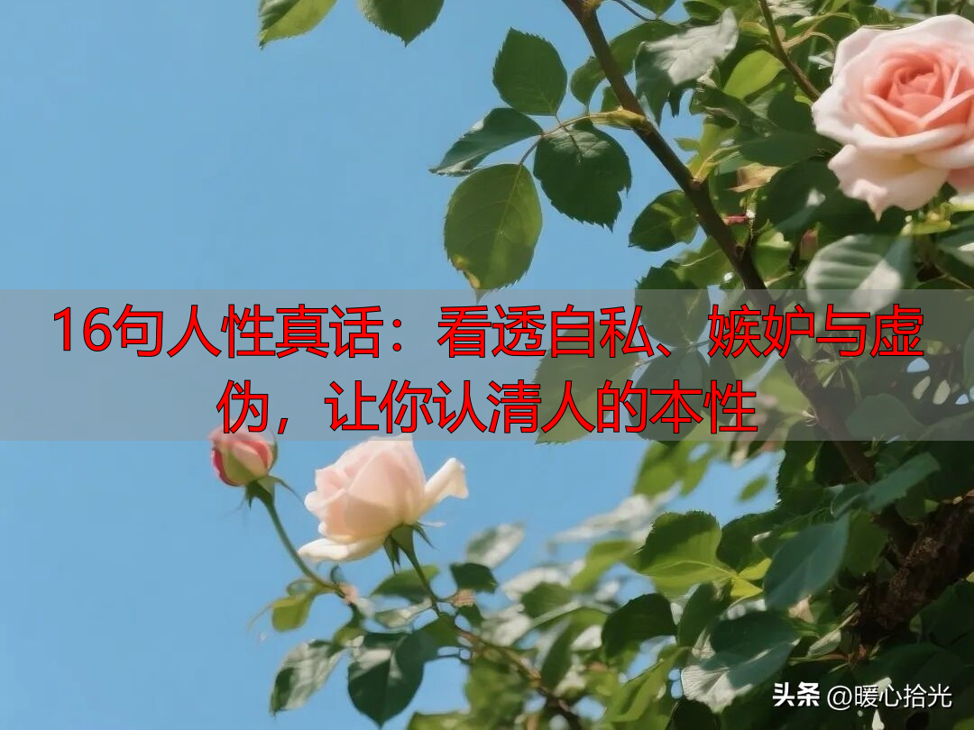 16句人性真话：看透自私、嫉妒与虚伪，让你认清人的本性