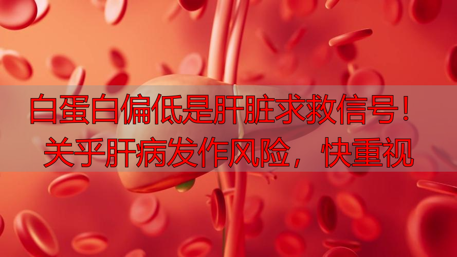 白蛋白偏低是肝脏求救信号！关乎肝病发作风险，快重视