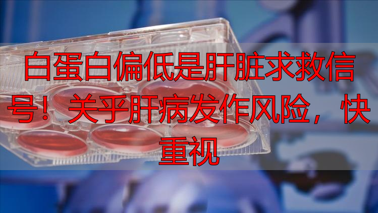 白蛋白偏低是肝脏求救信号！关乎肝病发作风险，快重视