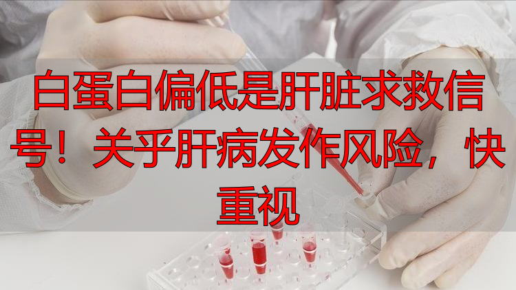 白蛋白偏低是肝脏求救信号！关乎肝病发作风险，快重视