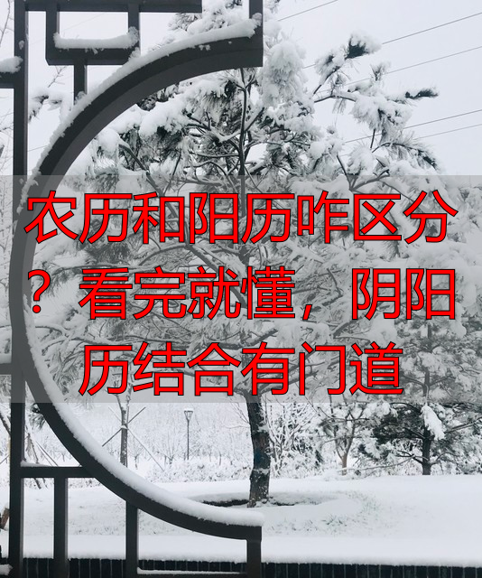 农历和阳历咋区分？看完就懂，阴阳历结合有门道