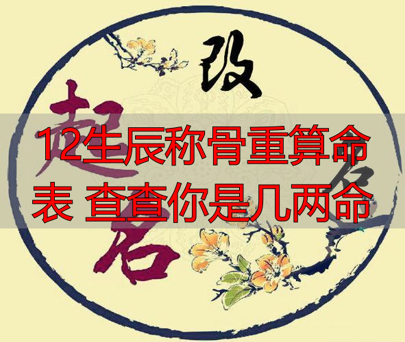 12生辰称骨重算命表 查查你是几两命