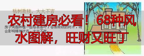 农村建房必看!68种风水图解,旺财又旺丁
