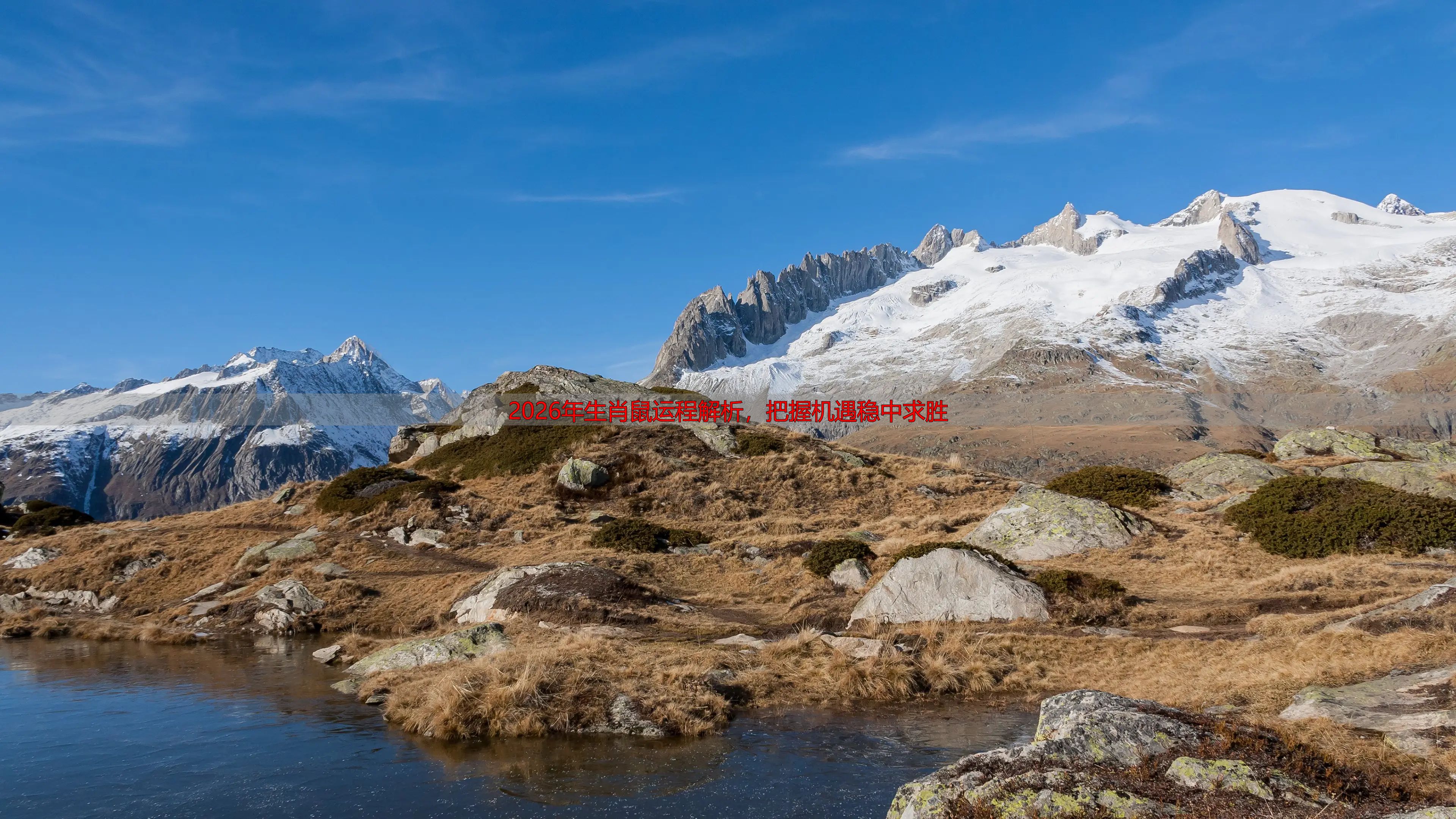 2026年生肖鼠运程解析，把握机遇稳中求胜
