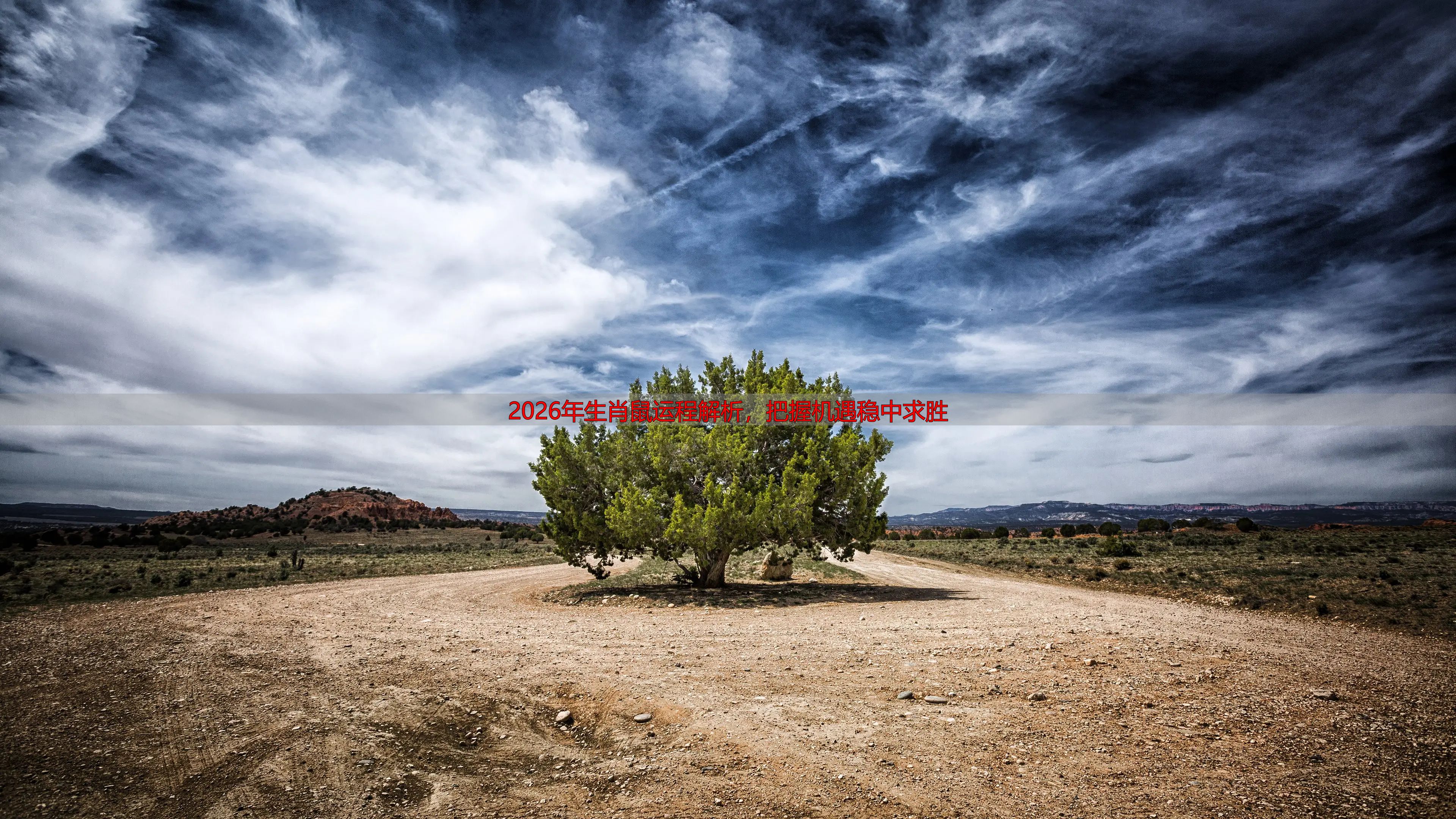 2026年生肖鼠运程解析，把握机遇稳中求胜