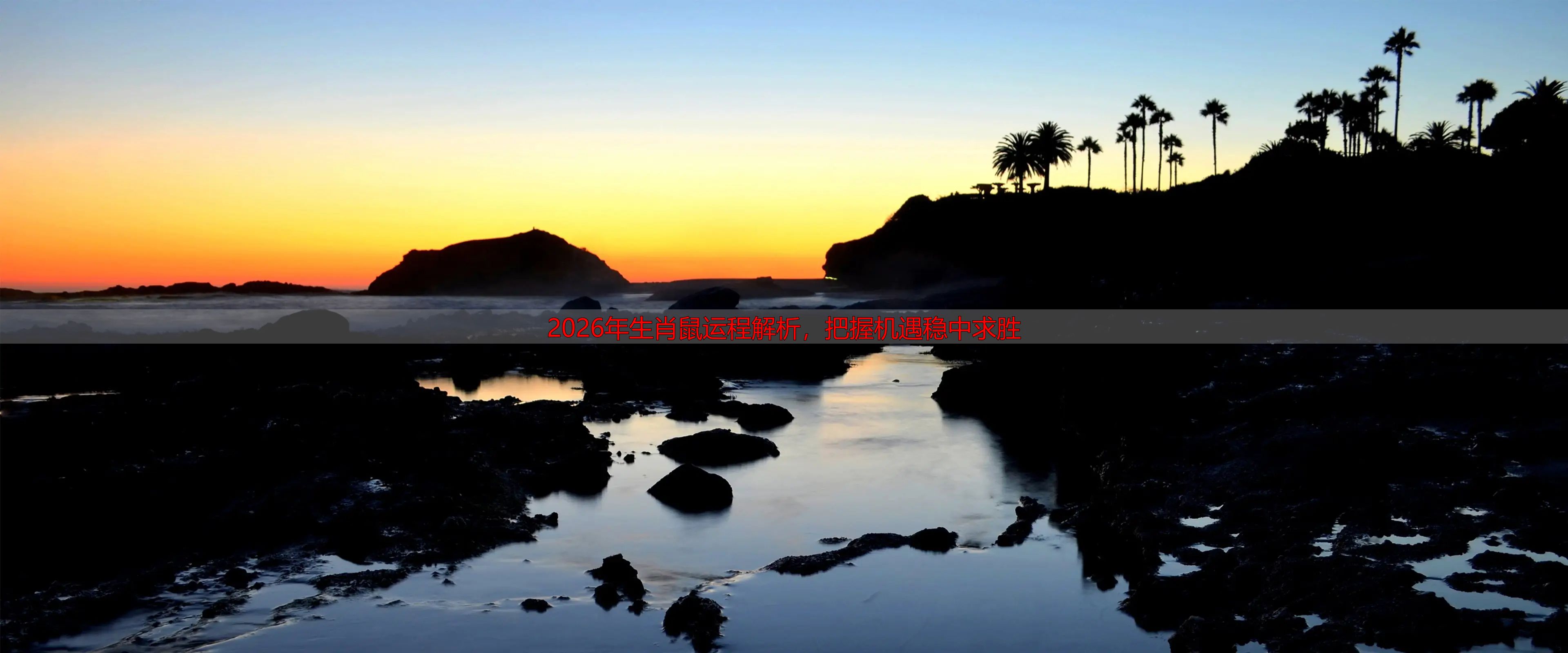 2026年生肖鼠运程解析，把握机遇稳中求胜