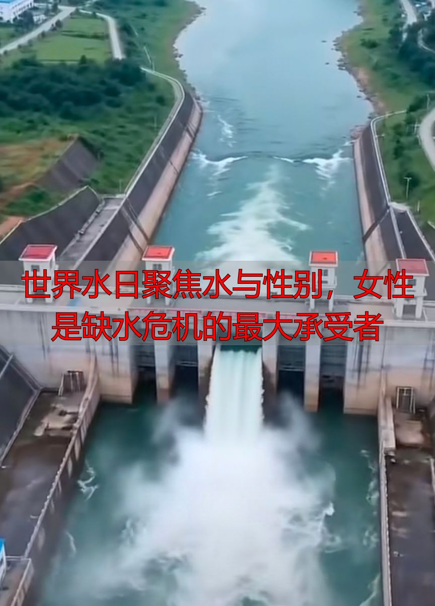 世界水日聚焦水与性别，女性是缺水危机的最大承受者