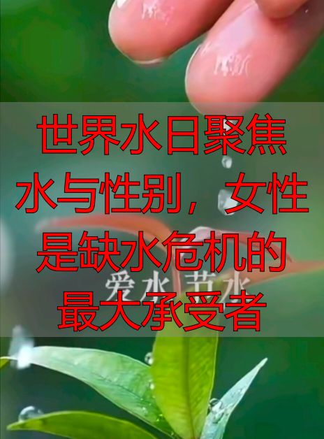 世界水日聚焦水与性别，女性是缺水危机的最大承受者